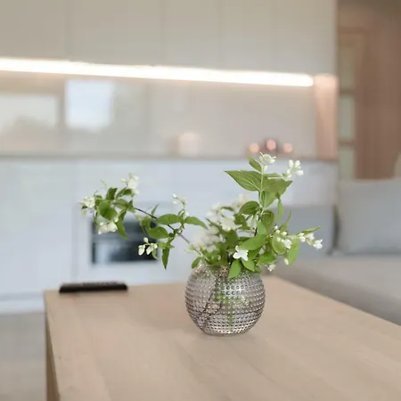 Gerves Apartamentai Паланга Экстерьер фото